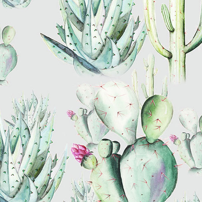 Vlies Fototapete | Cactus Grey | Größe 400 x 250 cm