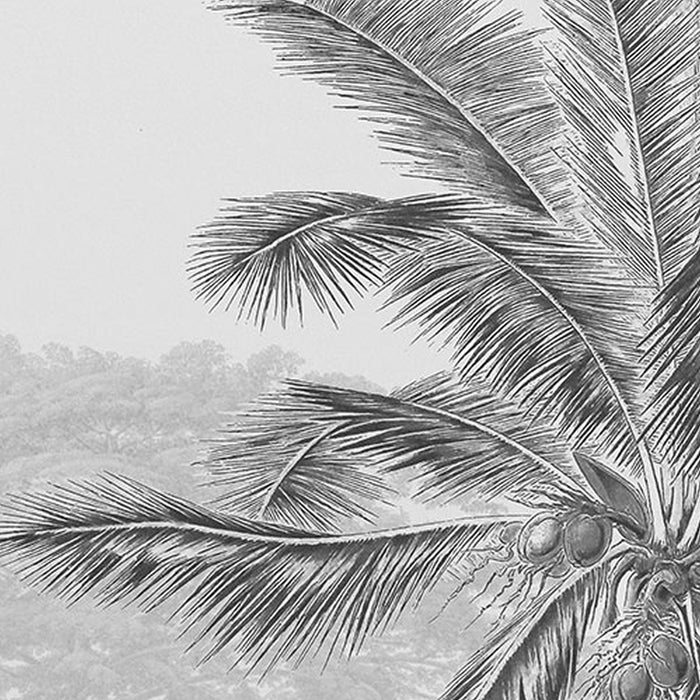 Vlies Fototapete | Lac Tropical Black & White | Größe 200 x 270 cm