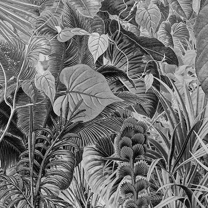 Vlies Fototapete | Lac Tropical Black & White | Größe 200 x 270 cm