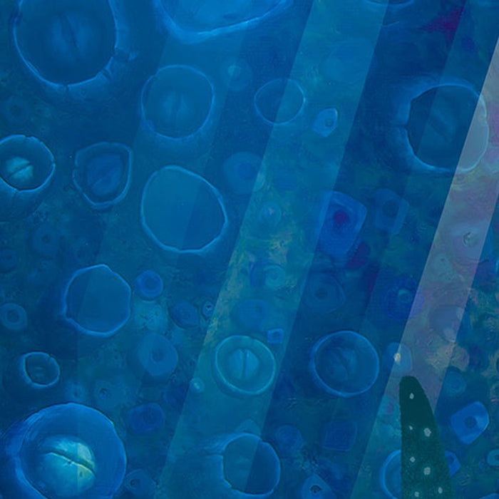 Komar | Vlies Fototapete | Dory Aqua Party | Größe 300 x 280 cm